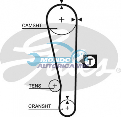 Timing Belt