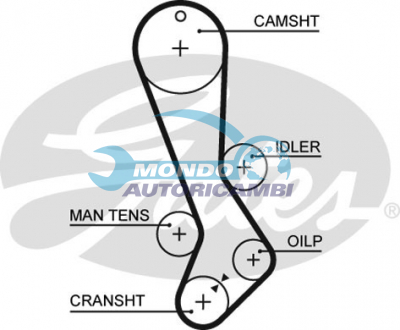 Timing Belt