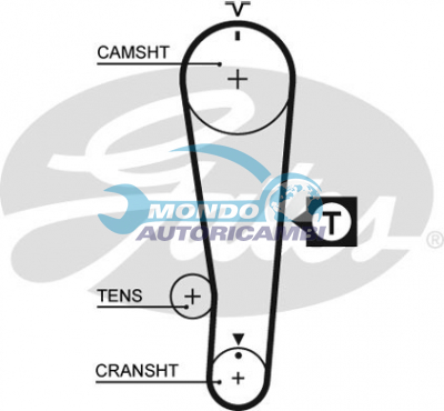 Timing Belt