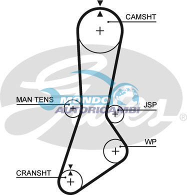 Timing Belt