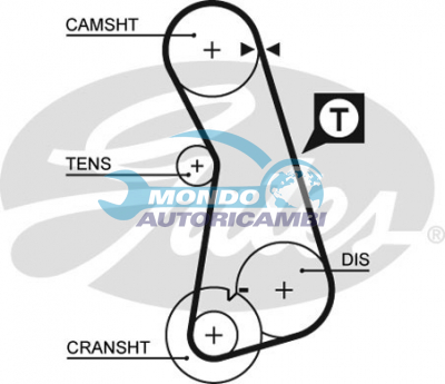 Timing Belt