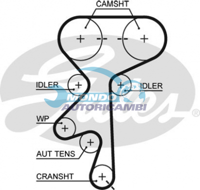 Timing Belt
