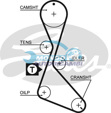 Timing Belt