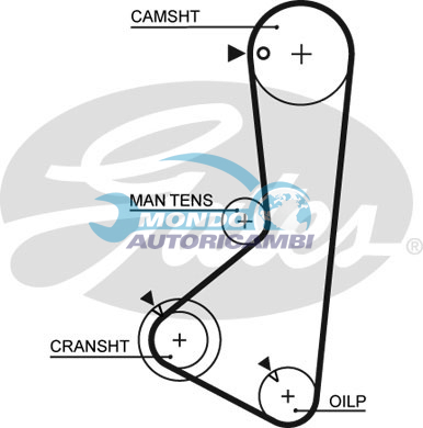 Timing Belt