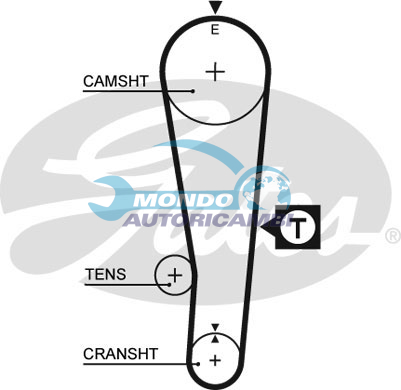 Timing Belt