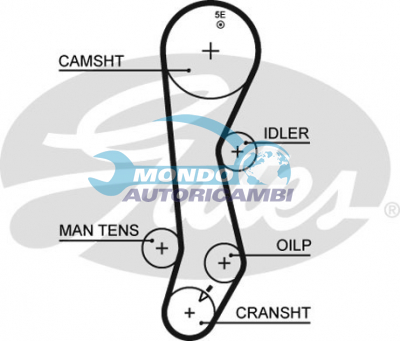 Timing Belt