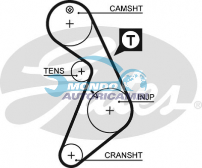 Timing Belt