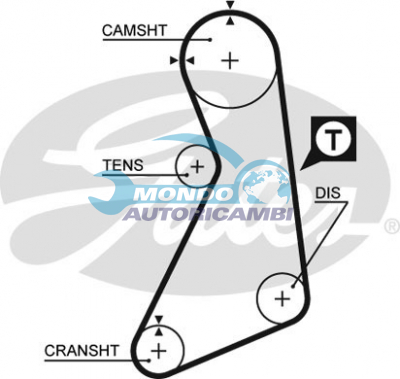 Timing Belt