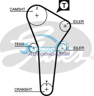Timing Belt