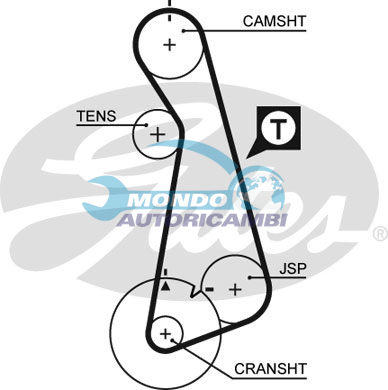 Timing Belt