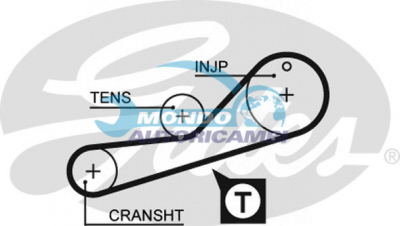 Timing Belt