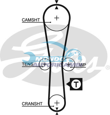 Timing Belt