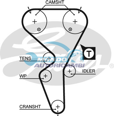 Timing Belt