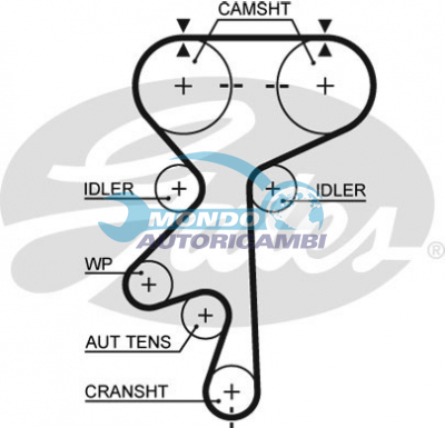 Timing Belt
