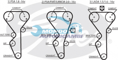 Timing Belt