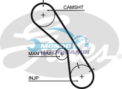 Timing Belt