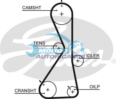 Timing Belt