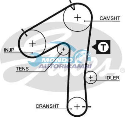 Timing Belt