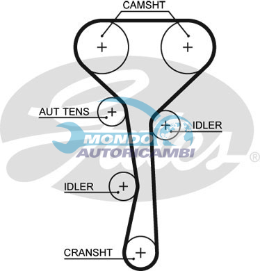Timing Belt