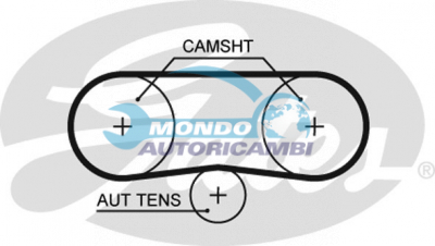 Timing Belt