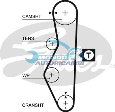 Timing Belt
