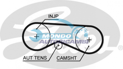 Timing Belt