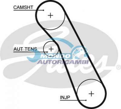 Timing Belt