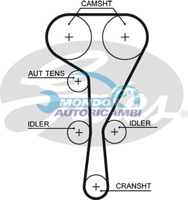 Timing Belt