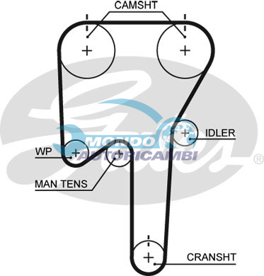Timing Belt