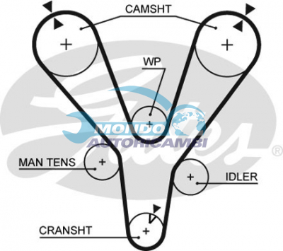 Timing Belt