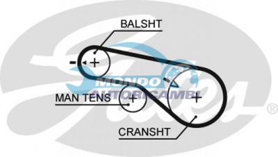 Timing Belt