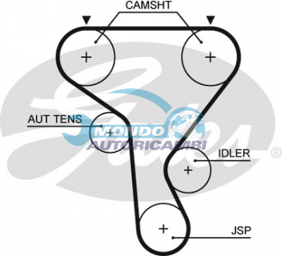 Timing Belt