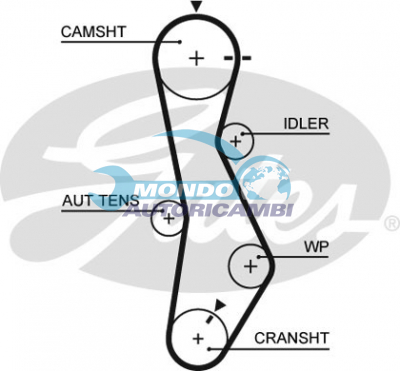 Timing Belt