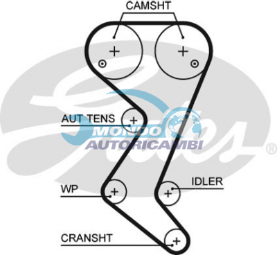 Timing Belt