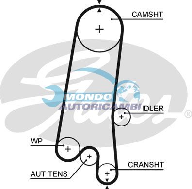 Timing Belt