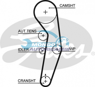 Timing Belt