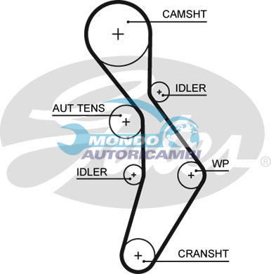Timing Belt