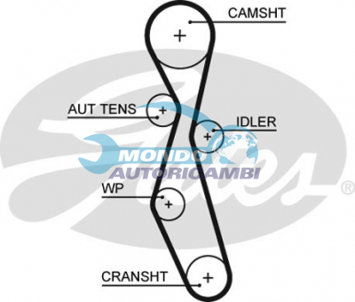 Timing Belt