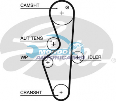 Timing Belt