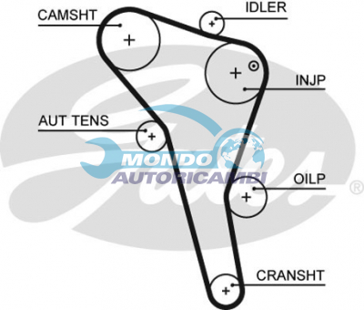 Timing Belt