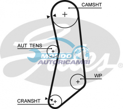 Timing Belt
