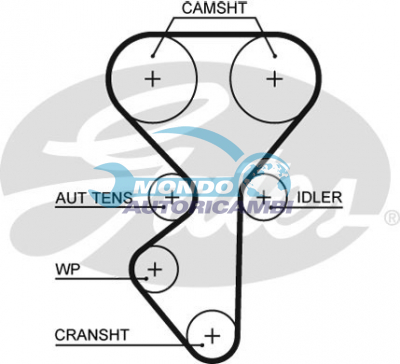 Timing Belt