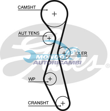 Timing Belt