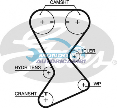 Timing Belt