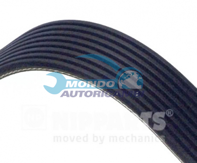 V-Ribbed Belts