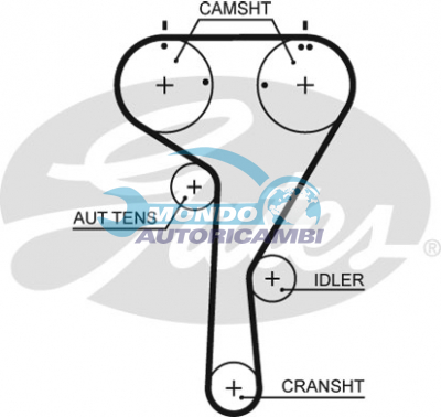 Timing Belt