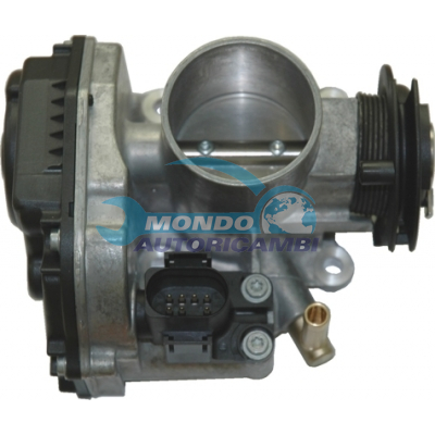 THROTTLE BODY