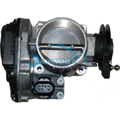 THROTTLE BODY