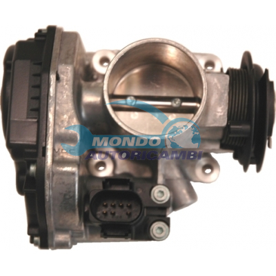 THROTTLE BODY