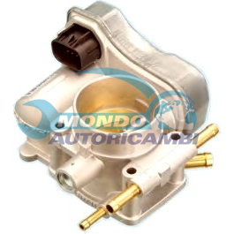 THROTTLE BODY